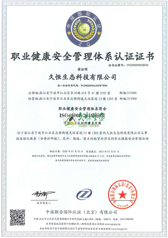 南京高淳职业健康安全管理体系ISO45001证书